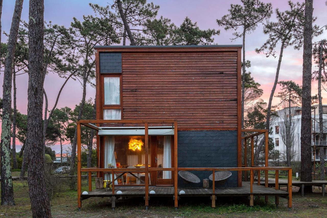 Bungalow B2 - Nature, Beach & River 奥菲尔 外观 照片